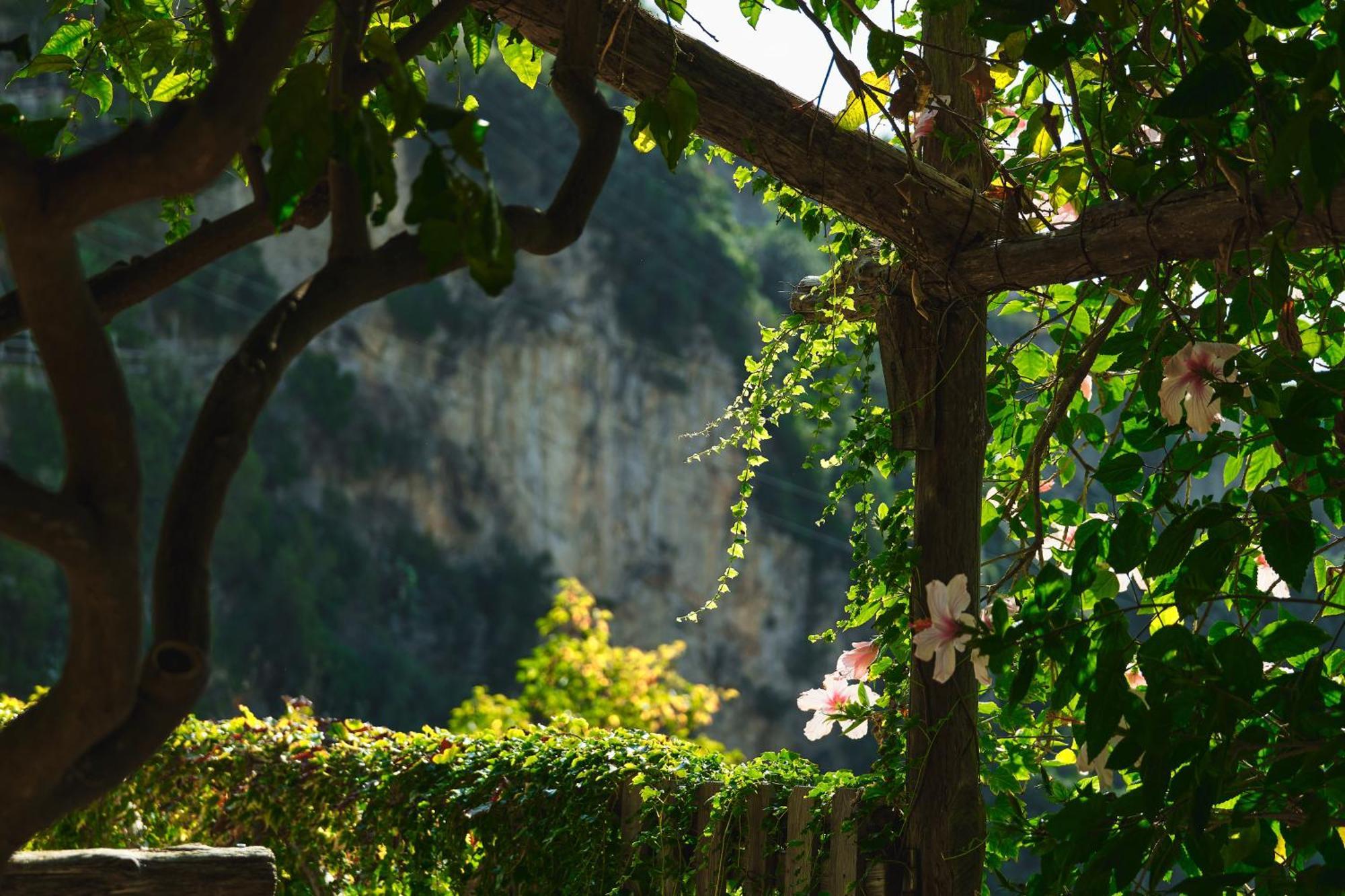 Hotel Botanico San Lazzaro Maiori Buitenkant foto